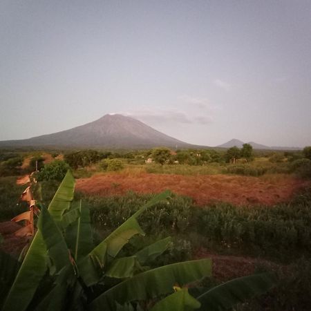 Khrisna Sunrise Homestay Tulamben Oda fotoğraf