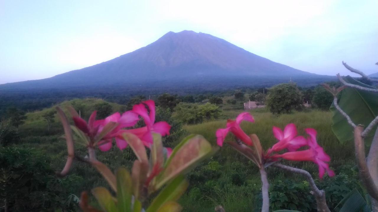 Khrisna Sunrise Homestay Tulamben Dış mekan fotoğraf